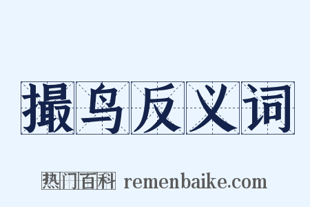撮鸟反义词是什么意思的图片